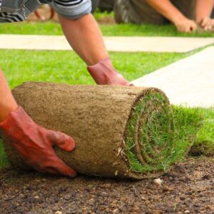 sod-installation